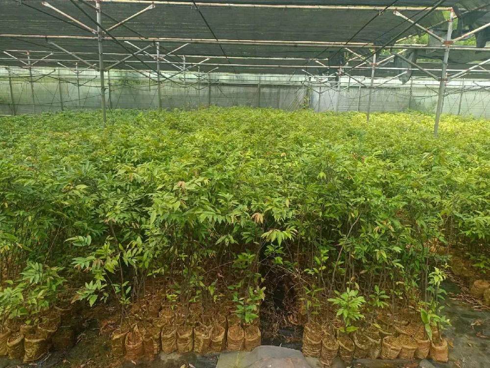 宝马bm1122线路顶级(中国)有限公司官网