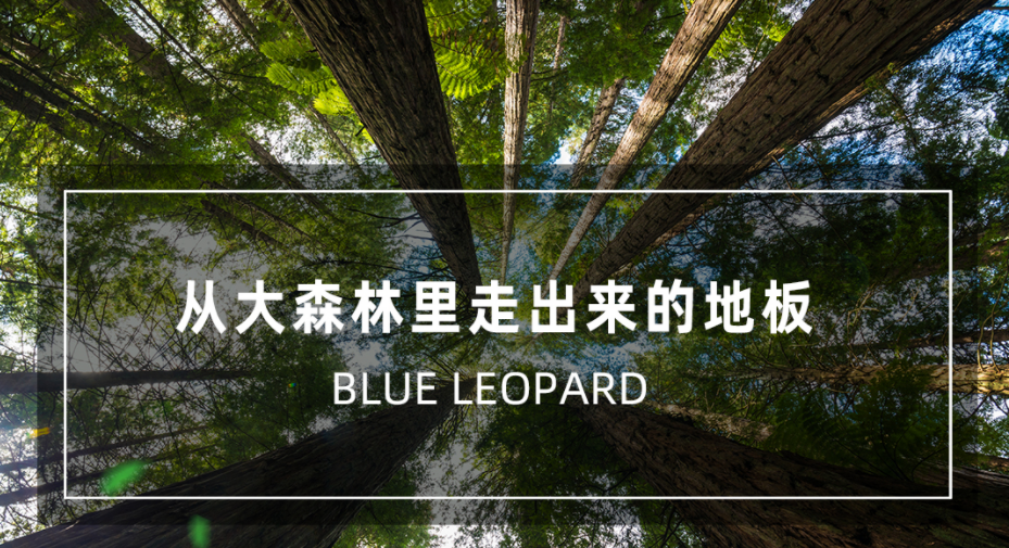 宝马bm1122线路顶级(中国)有限公司官网
