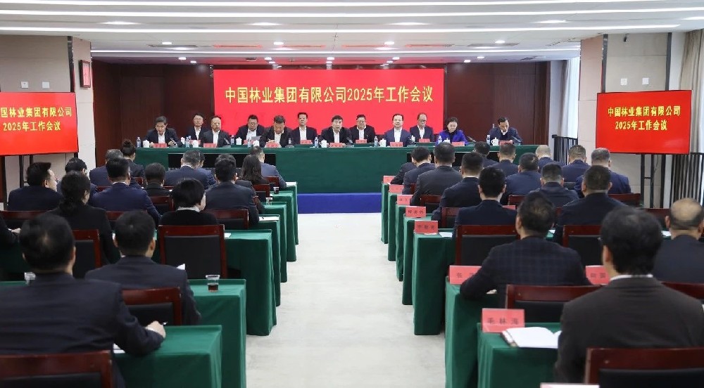 2025年：干字当头 笃定前行——以自我革命精神推动中林集团实现彻底重塑