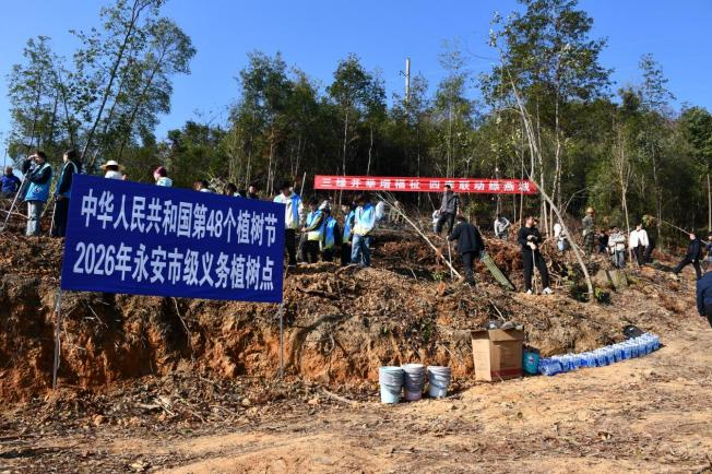 【子企业动态】植此青绿 共树未来 金树公司助力宝马bm1122线路顶级市2026年义务植树活动